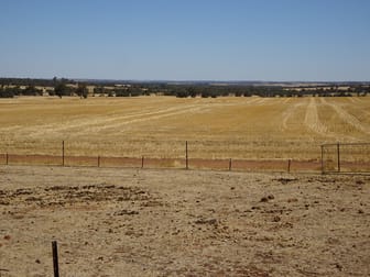 210 Yenellin Road East Pingelly WA 6308 - Image 1