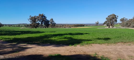 210 Yenellin Road East Pingelly WA 6308 - Image 1