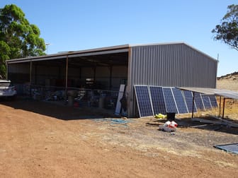 210 Yenellin Road East Pingelly WA 6308 - Image 3