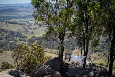 'Nirvana' 19 Springvale Road Wyangala NSW 2808 - Image 1