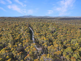 25851 Tasman Highway St Helens TAS 7216 - Image 2