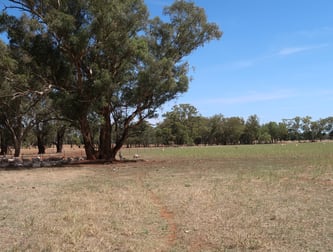 20 Campbells Lane Coolamon NSW 2701 - Image 1