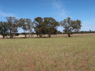 20 Campbells Lane Coolamon NSW 2701 - Image 2