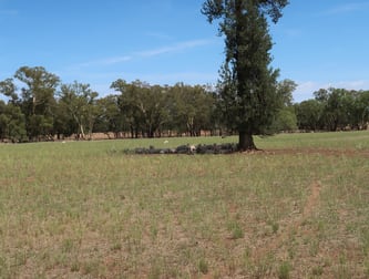 20 Campbells Lane Coolamon NSW 2701 - Image 3