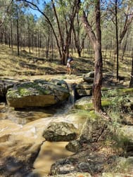 325 Toorawandi Road Ulamambri NSW 2357 - Image 3