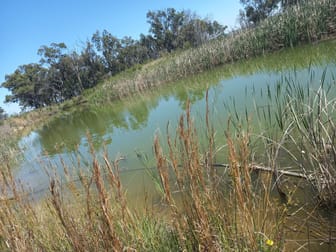 325 Toorawandi Road Ulamambri NSW 2357 - Image 2