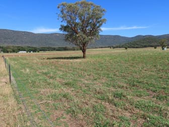 "Glen Bovie" 272 Langens Lane Tamworth NSW 2340 - Image 1