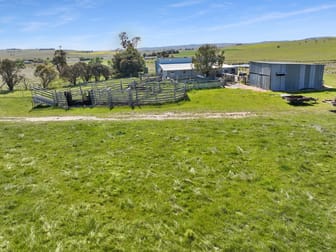 Lot 206 Delegate Road Delegate NSW 2633 - Image 3