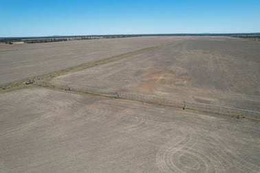 14787 Lachlan Valley Way Kiacatoo NSW 2877 - Image 1