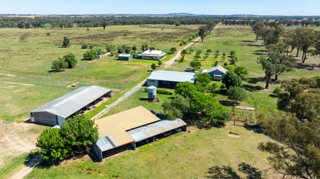 'Glenelg East'/1075 Walbundrie Rd Culcairn NSW 2660 - Image 2