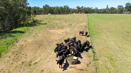 'Glenelg East'/1075 Walbundrie Rd Culcairn NSW 2660 - Image 3