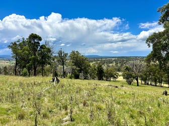 Lot 338 Swilks Road Uralla NSW 2358 - Image 1