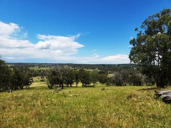 Lot 338 Swilks Road Uralla NSW 2358 - Image 2