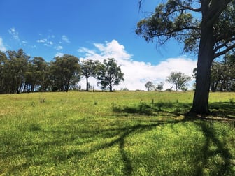 Lot 338 Swilks Road Uralla NSW 2358 - Image 3