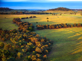 833 Fosters Road Guluguba QLD 4418 - Image 1