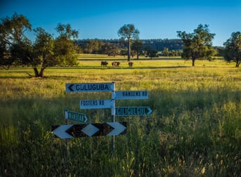 833 Fosters Road Guluguba QLD 4418 - Image 3