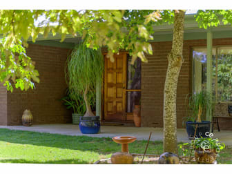 201 Harris Road Lenswood SA 5240 - Image 3