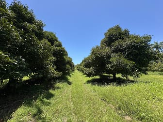 Granadilla QLD 4855 - Image 1