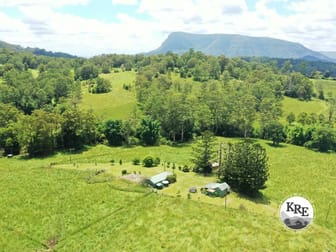66 Old Tweed Road Wadeville NSW 2474 - Image 1