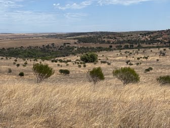 Lot 101 Drage Street Sandy Gully WA 6535 - Image 2