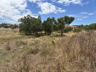 Lot 101 Drage Street Sandy Gully WA 6535 - Image 1