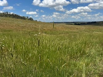 "Springleigh" Terrible Vale Road Kentucky NSW 2354 - Image 3
