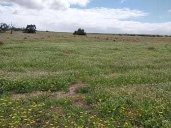 Lot 3816 Minyulo Road Dandaragan WA 6507 - Image 3