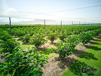 211 Sandy Creek Road Grantham QLD 4347 - Image 1