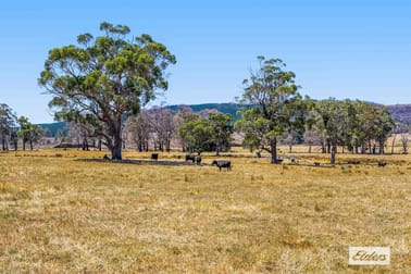 Lot 2, 100 Raglan-Elmhurst Road Raglan VIC 3373 - Image 3