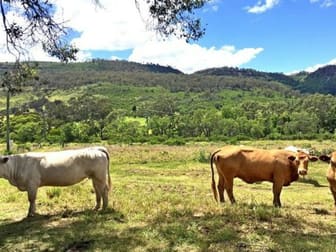 1904 Gatton Clifton Road Fordsdale QLD 4343 - Image 2