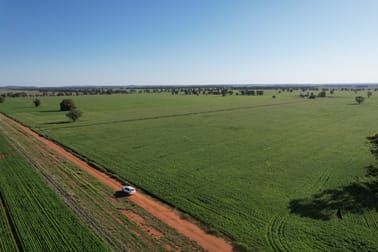 1 Lisgar Lane Tullamore NSW 2874 - Image 1