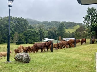 Coolabine QLD 4574 - Image 3