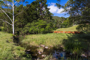 Coolabine QLD 4574 - Image 1