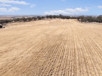 Lot 90 Tarlee Road Kapunda SA 5373 - Image 1