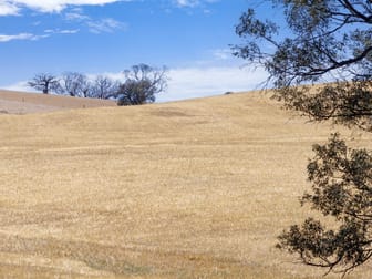 Lot 90 Tarlee Road Kapunda SA 5373 - Image 2