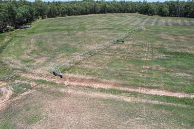 4007 Kiacatoo Road Condobolin NSW 2877 - Image 2