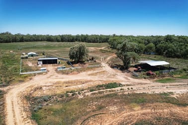 4007 Kiacatoo Road Condobolin NSW 2877 - Image 3