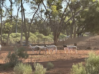 1 Ben Lomond Road Gunderbooka NSW 2840 - Image 1