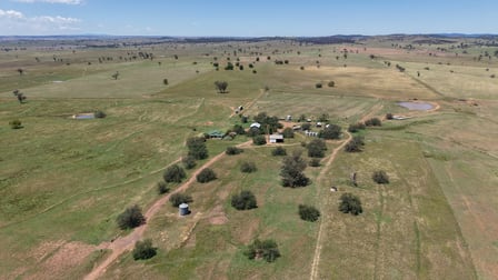213 Nevilles Road Yeoval NSW 2868 - Image 3