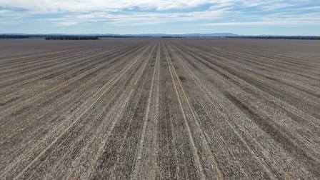 Allengrove Aggregati Warregal Road Tichborne NSW 2870 - Image 2
