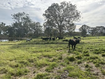 2087 Rabbit Fence Road Palgrave QLD 4374 - Image 2