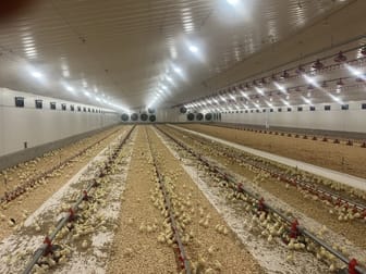 Rural & Farming  business for sale in Sydney - Image 2