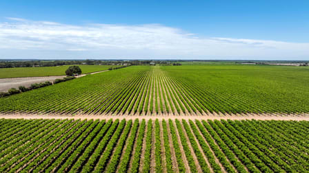 179 Milang Road Belvidere SA 5255 - Image 3