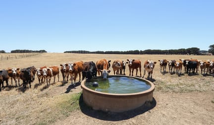 4577 Princes Highway Yambuk VIC 3285 - Image 2