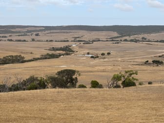 879 Nanson-Howatharra Road Yetna WA 6532 - Image 3