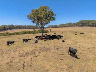 202 Dingo Flat Road Tingledale WA 6333 - Image 2