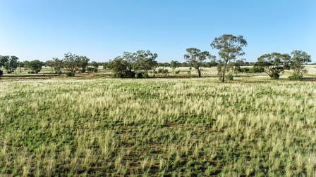 1121 Okeh Road Girilambone NSW 2831 - Image 2
