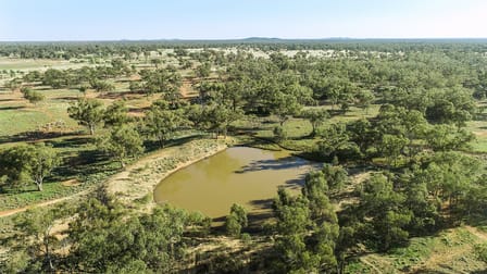 1121 Okeh Road Girilambone NSW 2831 - Image 3