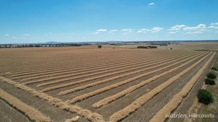 1545 Cotswold Road Glengower VIC 3370 - Image 2