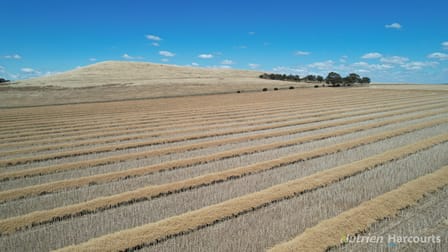 1545 Cotswold Road Glengower VIC 3370 - Image 3